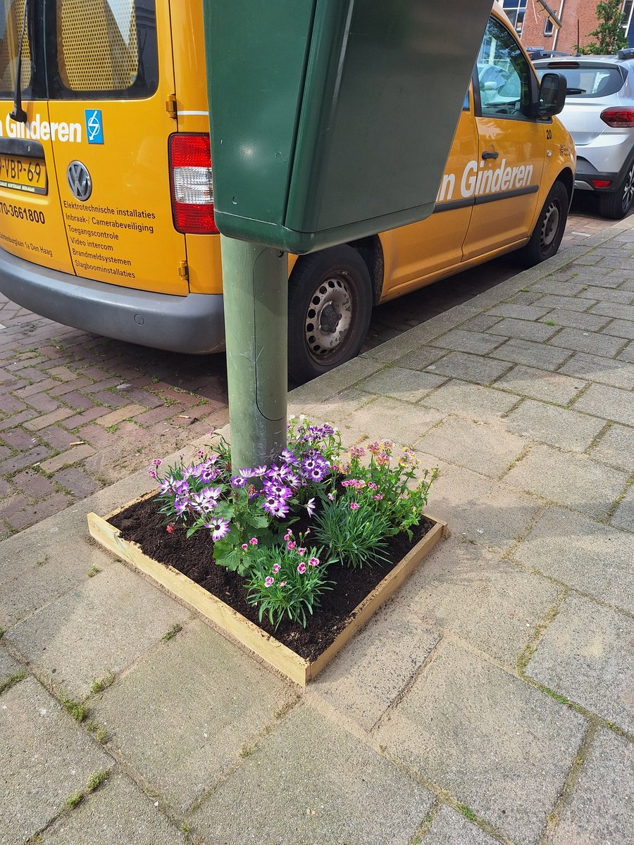 En we hebben weer een vierkante meter getegelwipt in de straat (geen idee of dit goed Nederlands is 😜) 🌷🌺🌼