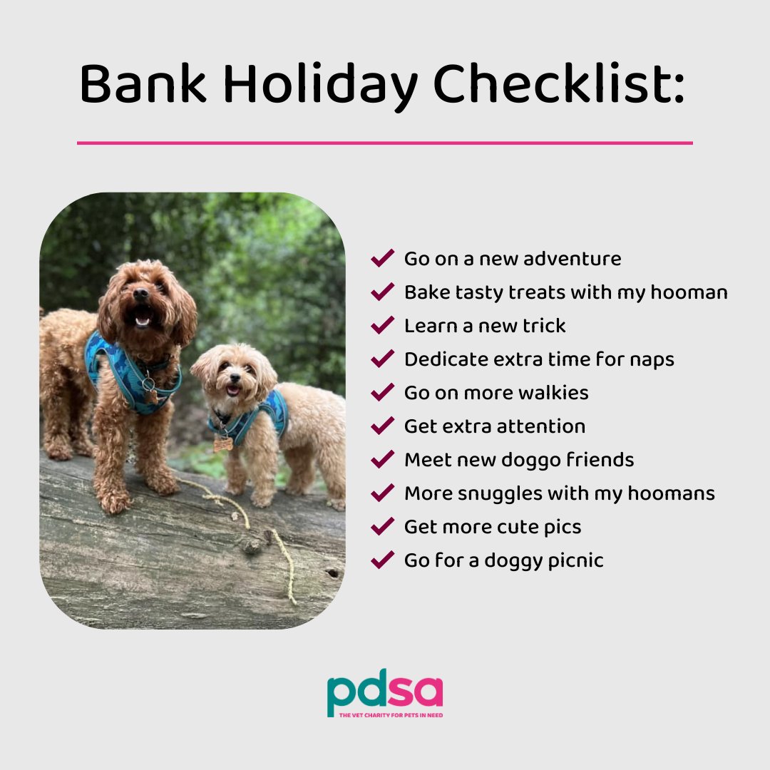 Who's as excited as Ziggy and Olive for the #BankHoliday weekend? 🤩