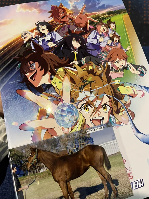 見たよ～ 