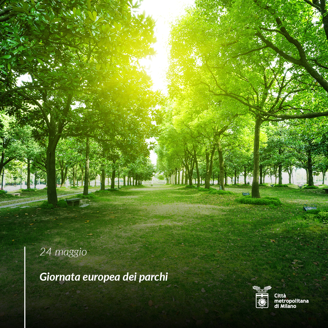 🌳 Oggi festeggiamo la bellezza, la diversità e l'importanza dei #parchi e delle aree naturali protette in Europa. 🌍 Nella #CittàMetropolitanadiMilano i parchi locali di interesse sovracomunale riconosciuti sono 17 per circa 9.224 ettari 👉 ow.ly/nGC450NMFkf