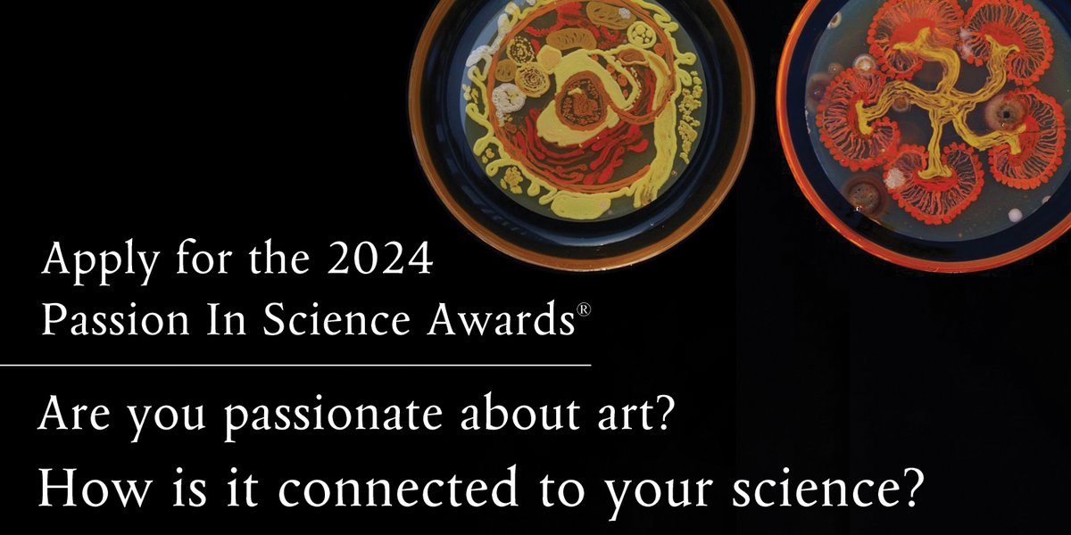 How do you leverage creativity in your scientific pursuits? Where do you see beauty in science, and how have you elevated it to an art form? 
We leave it up to you to interpret creativity in science. After all, isn’t that art? 
Learn more and apply at nebiolabs.com/3xjwUoD