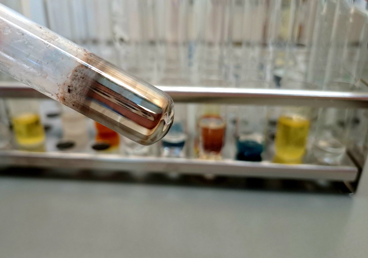CarinaCrucho's tweet photo. Mirror, mirror on the wall, who’s the brightest organic chemist of all? 🧪✨ Conducted a Tollens test with my students and created a stunning silver mirror! #OrganicChemistry #TollensTest #womeninstem #womeninscience https://t.co/ESHs6mUc5I