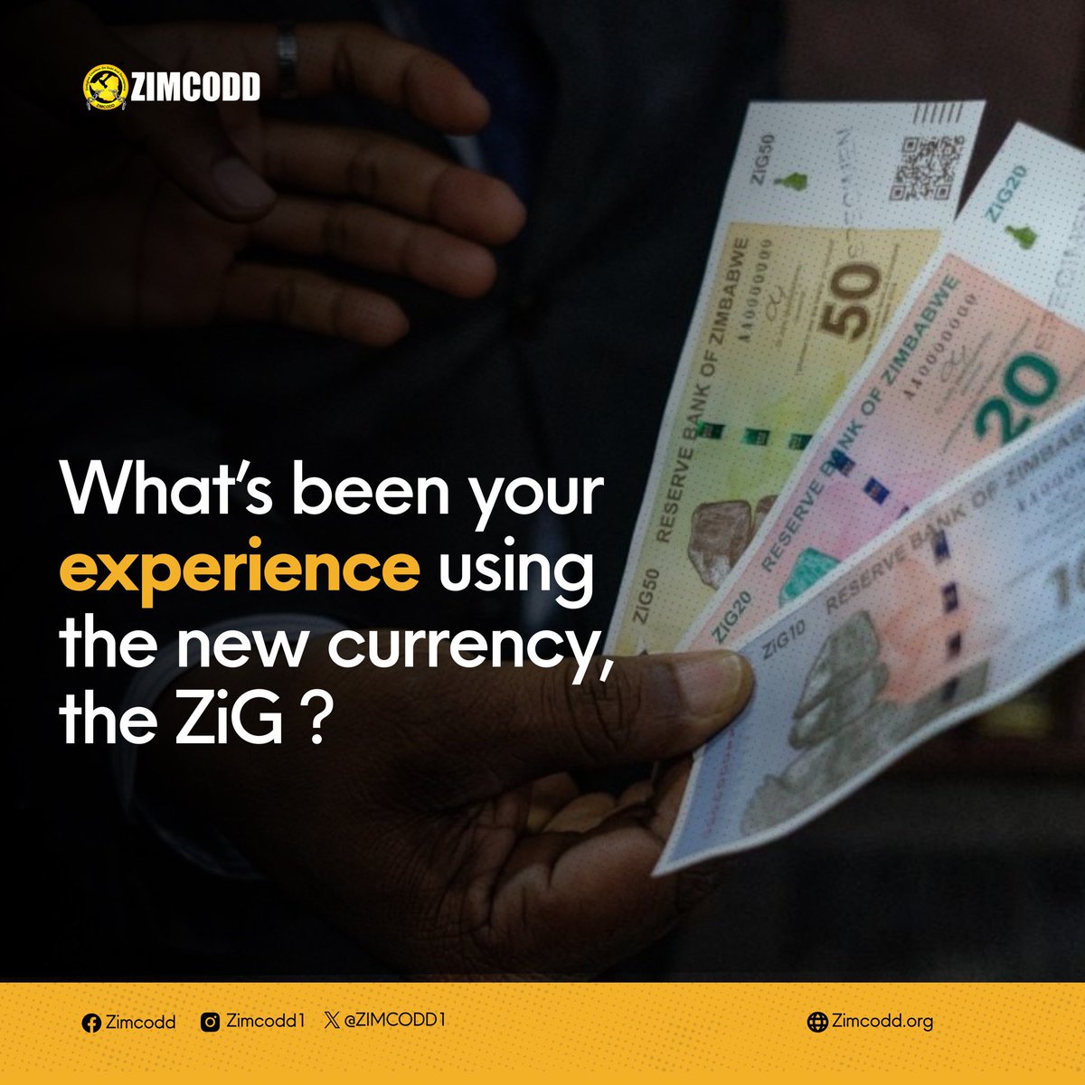 ZIMCODD tweet media