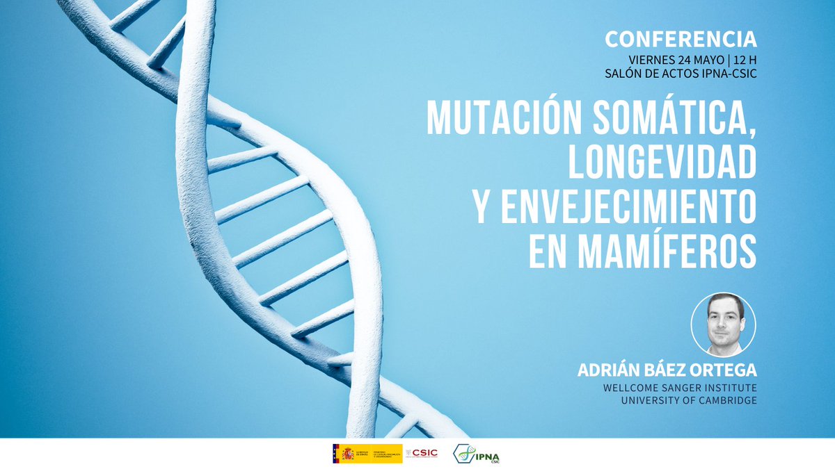 #Conferencia #IPNA En un ratito nos preparamos para aprender sobre 'Mutación somática, longevidad y envejecimiento en mamíferos' de la mano de Adrián Báez Ortega (@sangerinstitute / @magdalenealumni). 📆 24 mayo | 12 h 📍Salón de actos del #IPNA