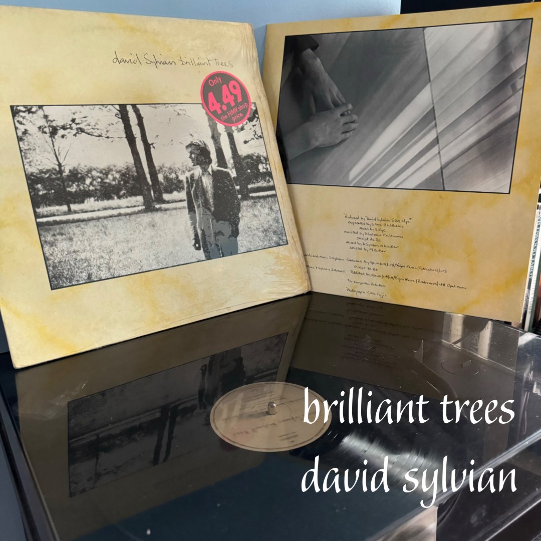 Morning worlds! Today’s vinyl accompaniment is the wonderful “brilliant trees” by david sylvian. I don’t think this is still available from HMV at £4.49 😆😆 #vinylcollection #amlistening