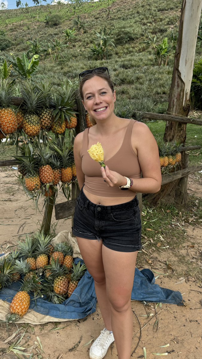 Pineapples in Uganda just hit different! 🍍🇺🇬❤️ #uganda