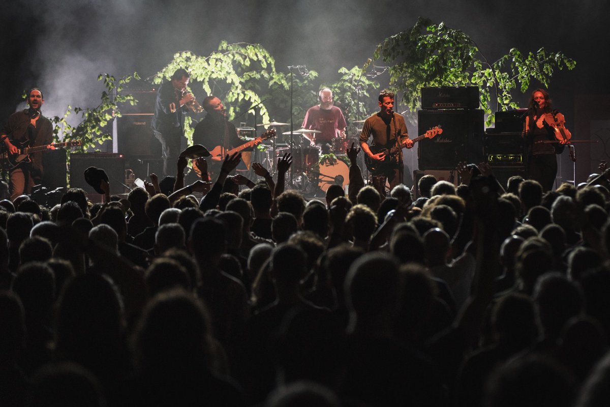 Down At The Front tweet media