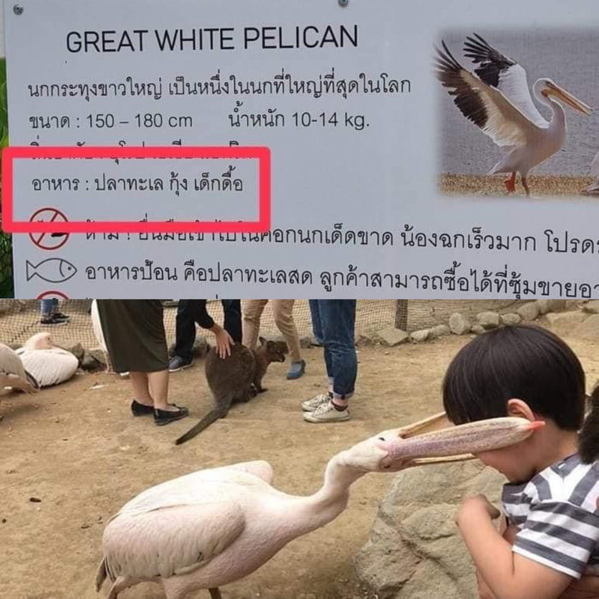 เด็กดื้อต้องโดนอะไรน้าาาาาาาา