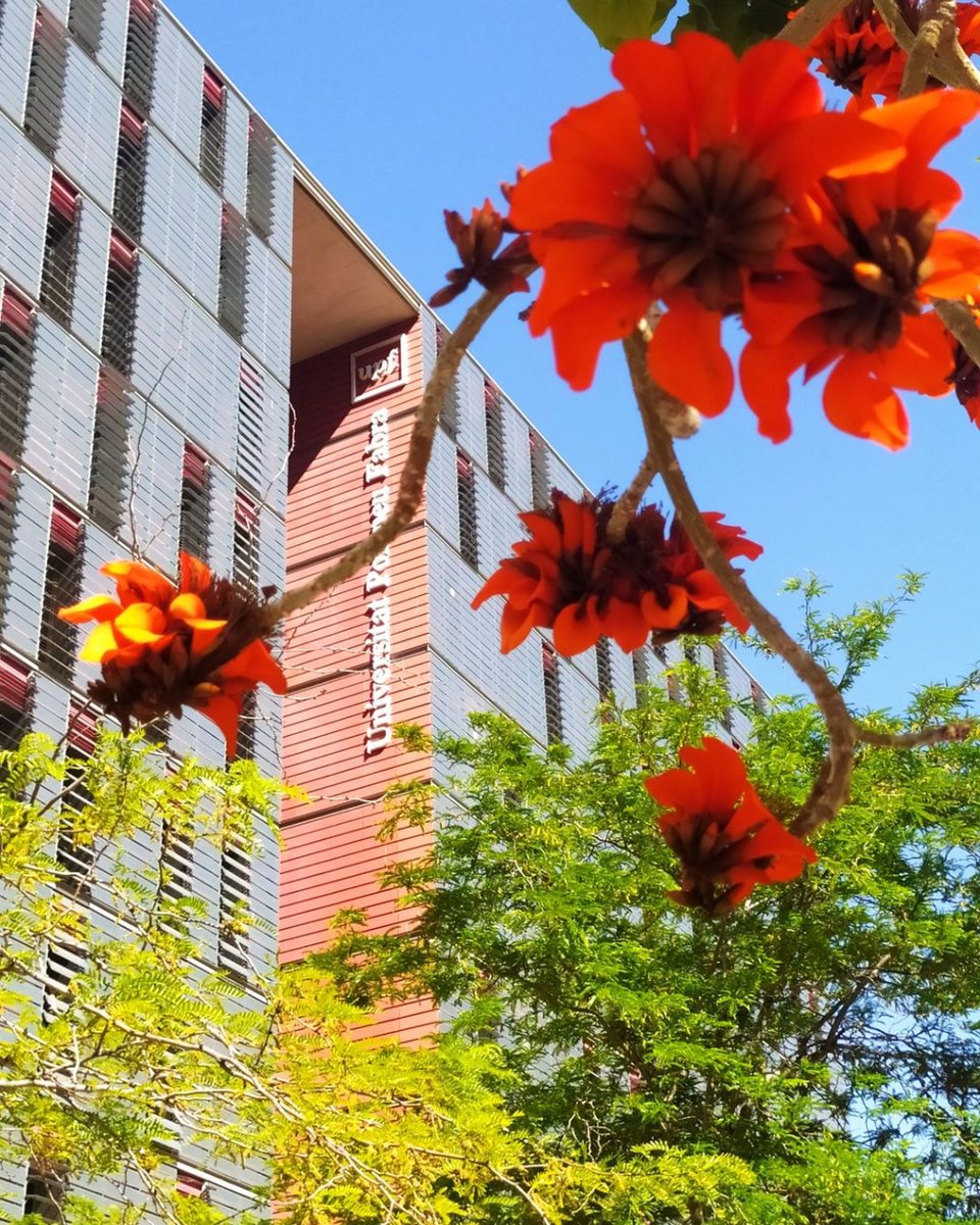 UPFBarcelona's tweet photo. La #fotoupf d’aquesta setmana a Instagram és obra de JSoley. Moltes gràcies!

Desperta la teva creativitat i puja fotos del teu racó preferit de la UPF amb l’etiqueta #FotoUPF. Cada setmana publicarem la millor. https://t.co/9FdI9wRuVO