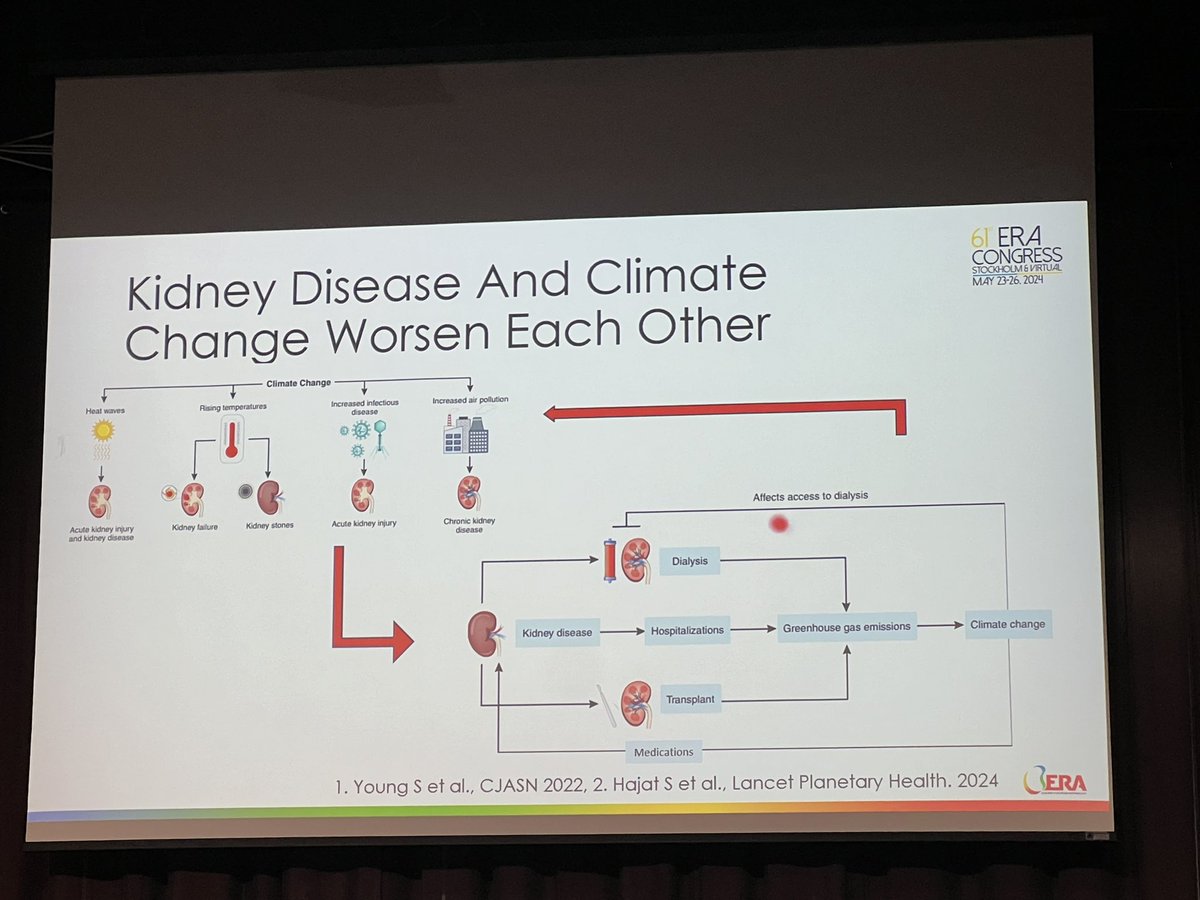 bms_cdr's tweet photo. Another example of climate impact in kidney disease and how kidney care can negatively impact clima! Full house to learn from @maria_pippias 🟢♻️

#ERA24 https://t.co/lYvfeScg8h