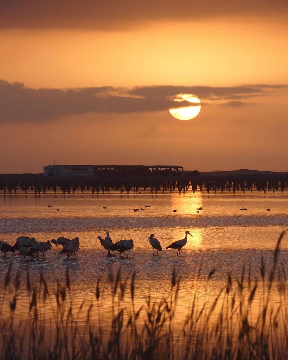 💙 Feliç Dia Europeu dels Parcs Naturals! A les #TerresdelEbre, tenim 2️⃣ joies naturals a pocs quilòmetres de distància. 

🌿 Us animem a seguir estimant i protegint #ElsPorts i el #deltadelEbre 😍

📷 martaroab, xopet1969

#ReservadelaBiosfera #CatalunyaExperience