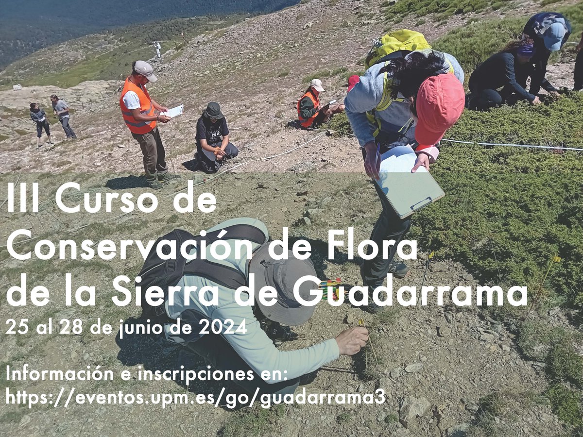 Abierto el plazo de matrícula para el III Curso de Conservación de Flora de la Sierra de Guadarrama, organizado por @MontesUPM en colaboración con @etsiaab y @PN_Guadarrama ¿te apuntas? #somosupm #etsimfmn #montesupm #nosoloingenieria +info👉short.upm.es/w2xp2