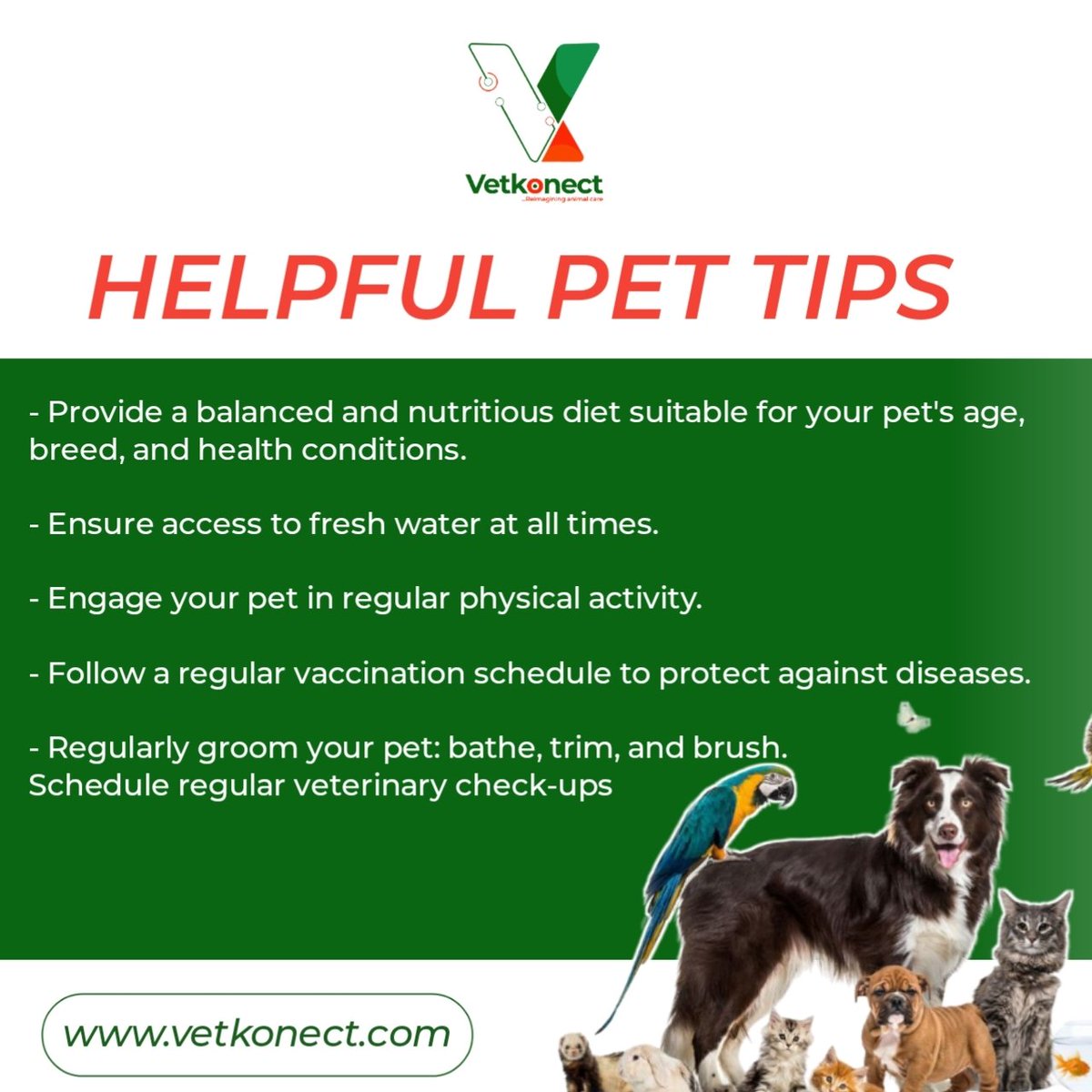 Our flyer is packed with valuable tips to keep your furry friends thriving.
Sign up on the Vet Konect platform at vetkonect.com and explore our library of informative pet care tips - all in one place! 
#vetkonect 
#reimagininganimalcare
#HealthyPets #HappyPets