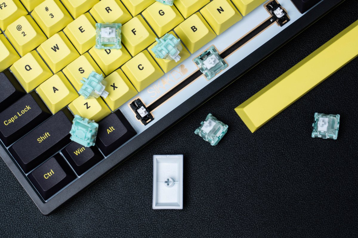 GATERONOfficial's tweet photo. The Magnetic Jade Switch bring the perfect fusion of technology and sound which delivers a rich, immersive experience. 

Keyboard: SIKAKEYB Castle Ck75 Magnetic Keyboard

#gateron #magneticjadeswitch #magneticswitch #keyboardswitch #jadeswitch #sikakeyb    #magnetickeyboard https://t.co/hz44oj9svw
