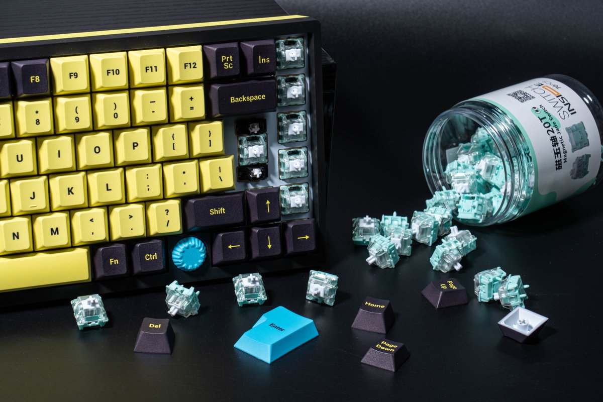GATERONOfficial's tweet photo. The Magnetic Jade Switch bring the perfect fusion of technology and sound which delivers a rich, immersive experience. 

Keyboard: SIKAKEYB Castle Ck75 Magnetic Keyboard

#gateron #magneticjadeswitch #magneticswitch #keyboardswitch #jadeswitch #sikakeyb    #magnetickeyboard https://t.co/hz44oj9svw