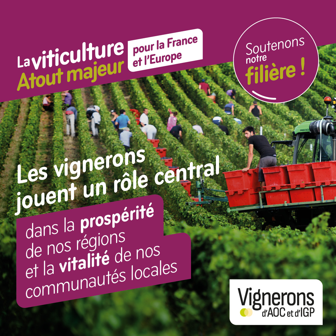 Le 9 juin, une partie de l'avenir de la #viticulture se joue lors des élections européennes : Politique Agricole Commune, étiquetage, gestion des marchés, etc 👉 les vins #AOC et #IGP ont besoin de vous et de votre soutien pour maintenir des règles spécifiques au niveau de l’UE.