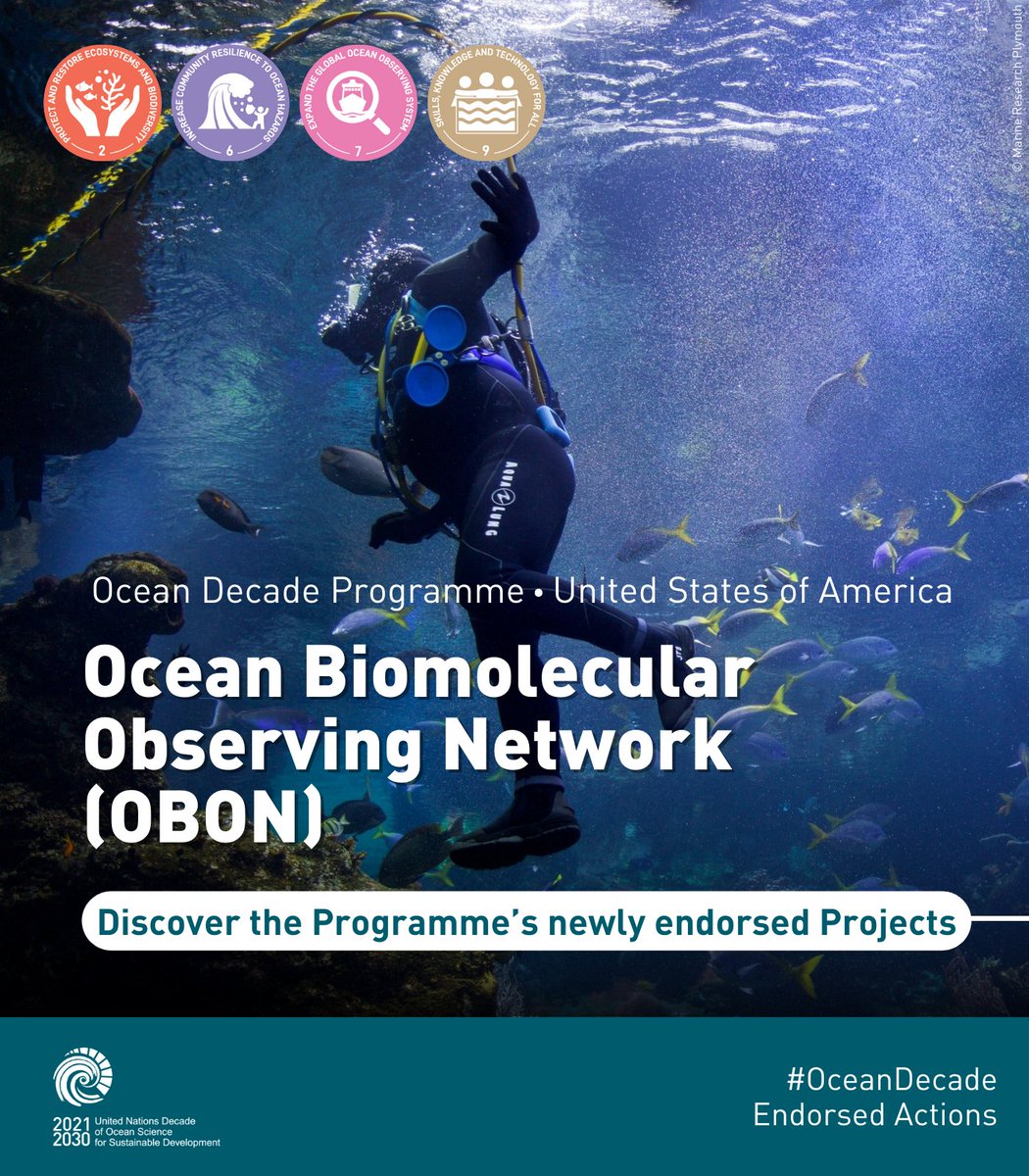 UNOceanDecade's tweet photo. As part of the @OBON_Ocean Programme, 2️⃣ new #OceanDecade Actions will help in understanding ocean life better:

👉 Collecting and analysing genetic material shed into surrounding environment
👉 A library with expertly curated DNA reference sequences

🔗 https://t.co/MUNQCaQaGt https://t.co/H18M8Mkg5L