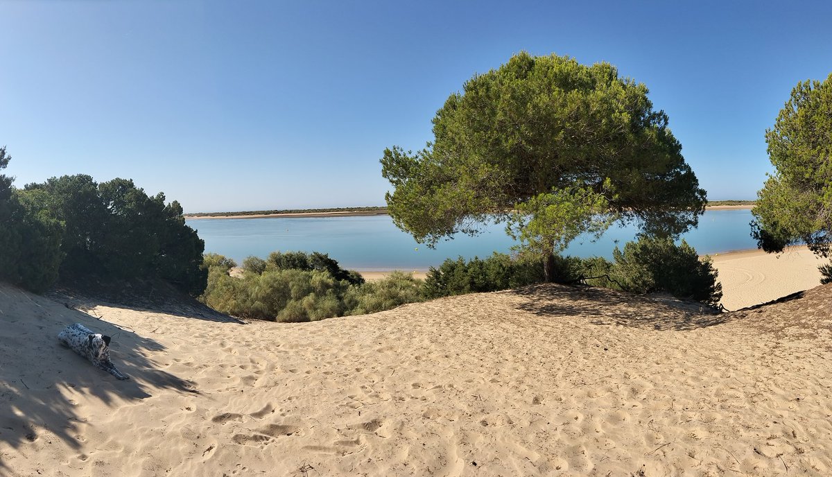 torrefrancoivan's tweet image. What an absolute privilege it is to live in this blessed land. It's not always easy to muster the energy to work on the thesis, but I know I can treat myself to this afterwards ⛱️