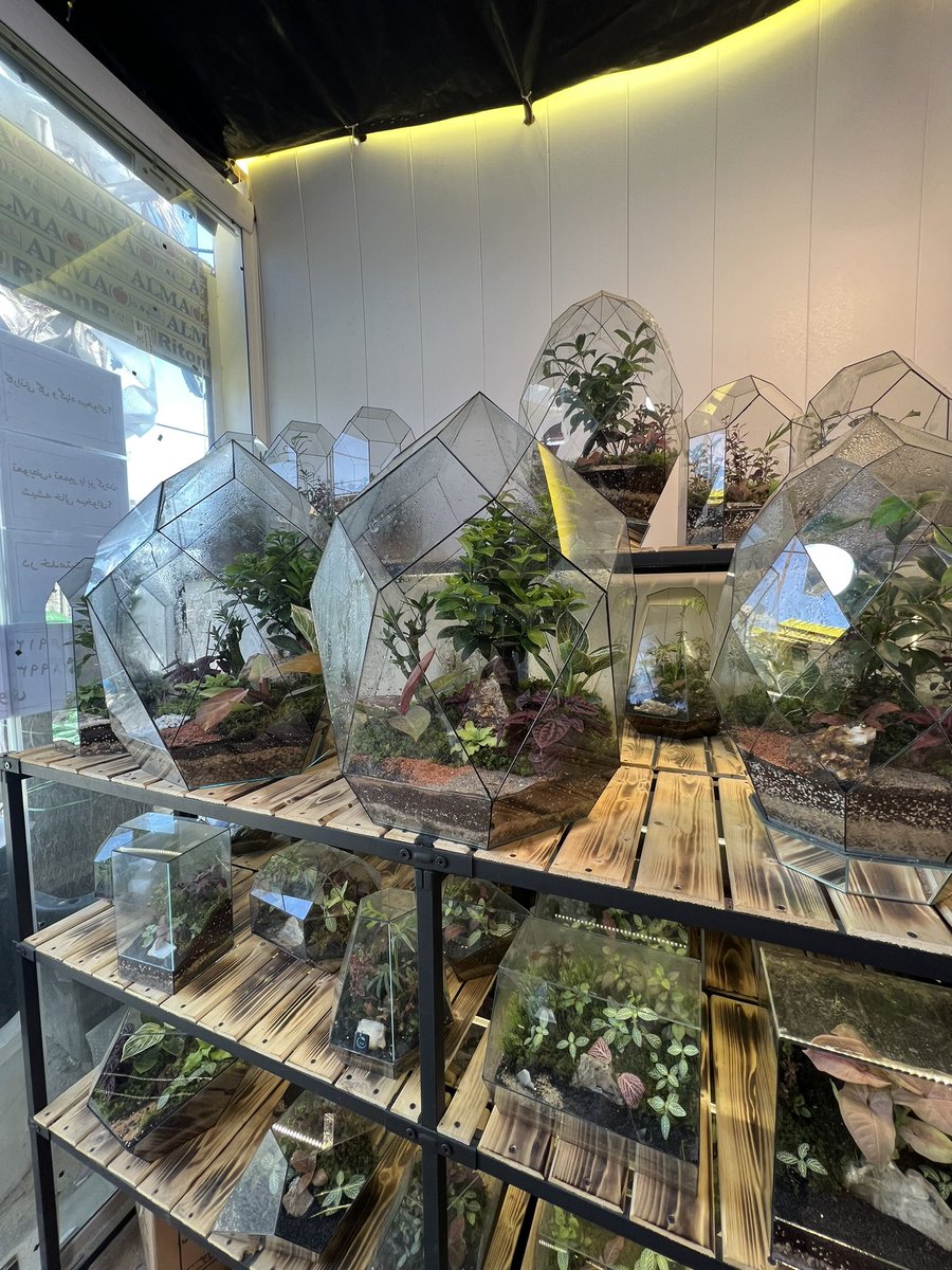 Sol_Terrarium tweet picture