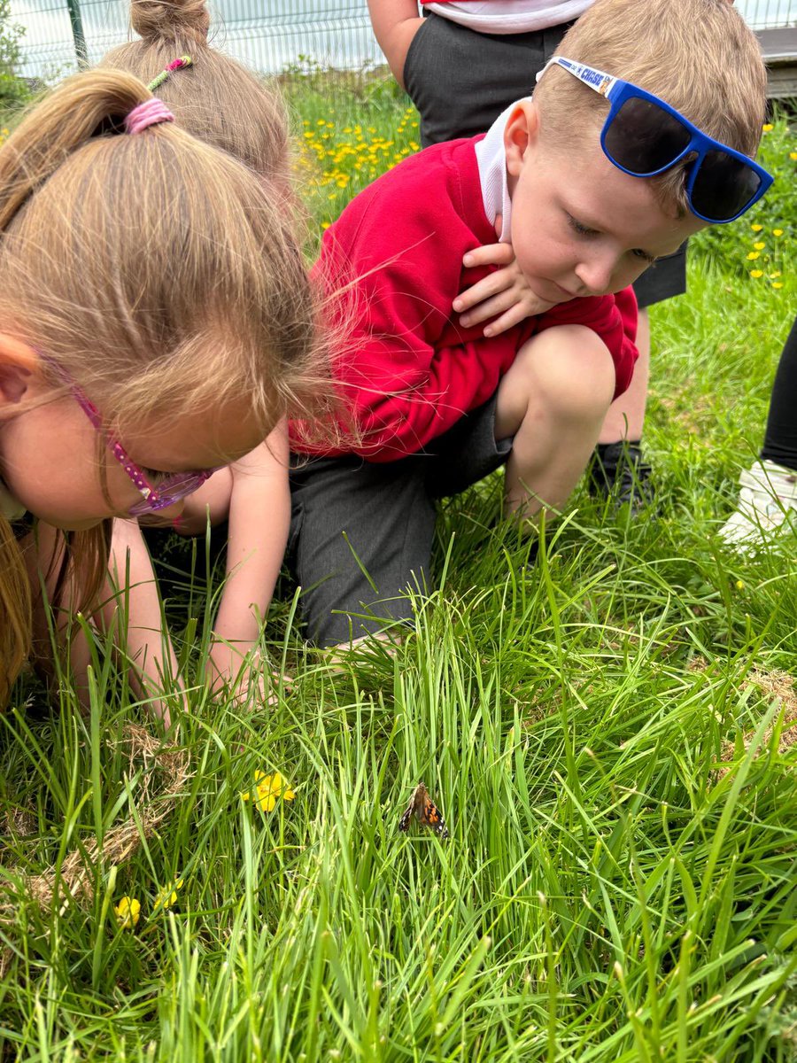 P1 were very excited to release all 5 of their butterflies this week. They were learning about life cycles in science. 🦋