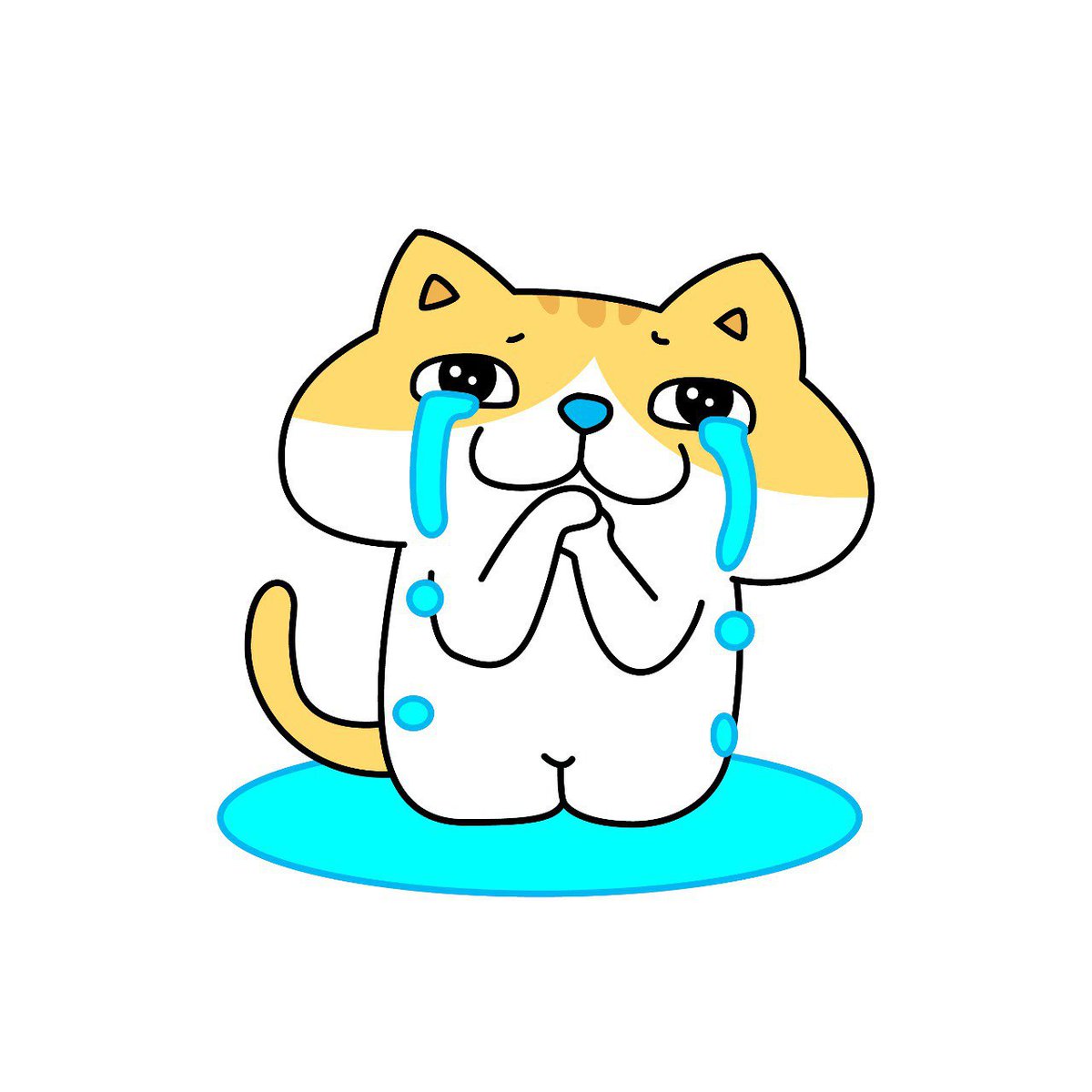 GMCAT on Solana tweet media