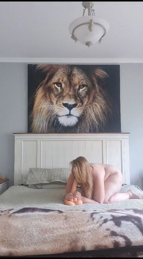 rettep68's tweet photo. Yeni oyuncagimin güzelliği 🔥🔥👅👅 https://t.co/2IBw0NGdxb