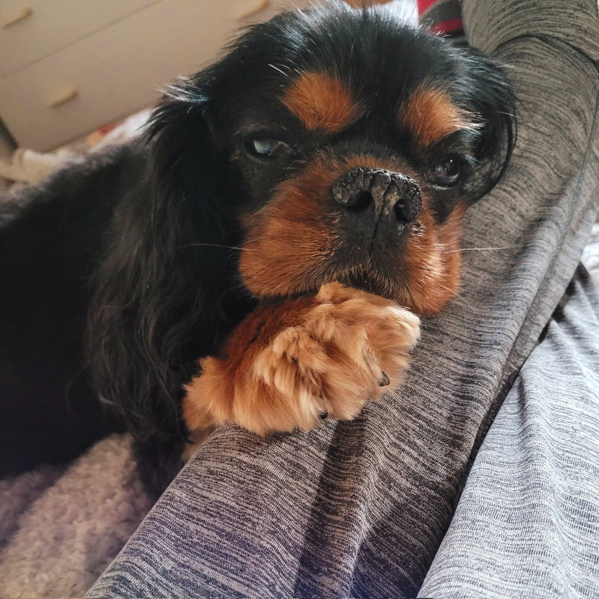 Dr Alexandros Dearges-Chantler. tweet media