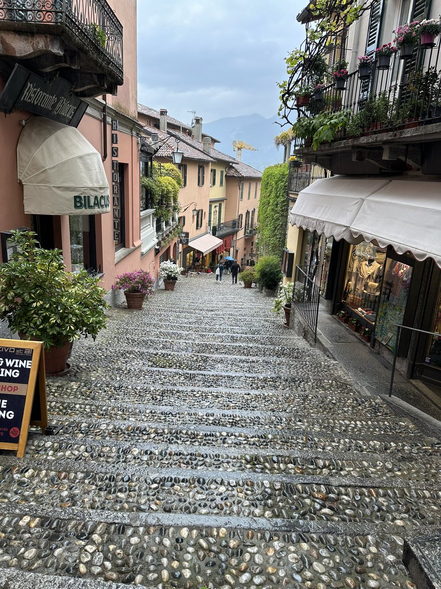 jimxavier30's tweet image. 