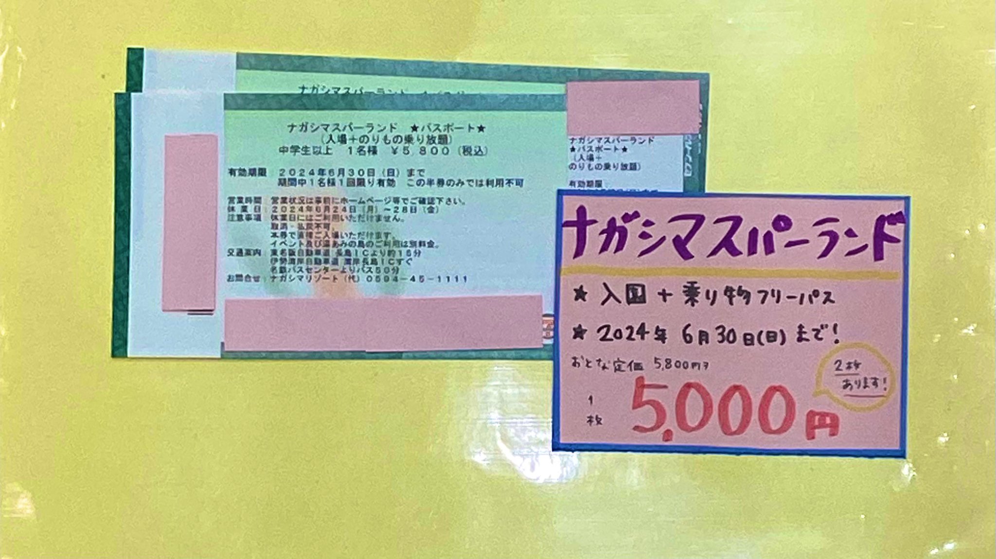 【送料無料】ナガシマスパーランドパスポート 2枚分［有効期限2019年9月30日］ ナガシマ スパーランド パスポート券 2枚セット 有効期限：２０１9年９