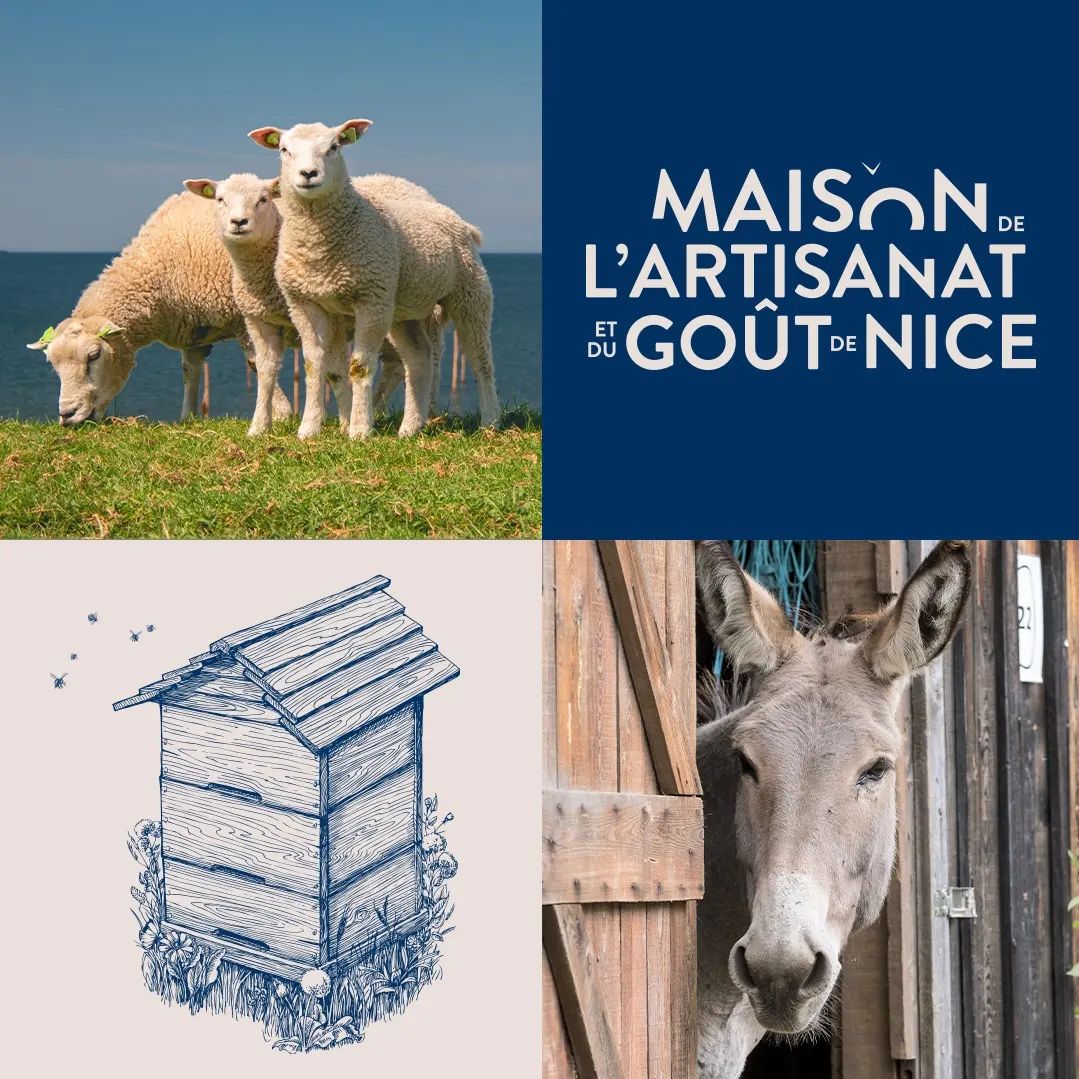 [Fête de la transhumance 🐑] Ce samedi 25 mai, la Maison de l'Artisanat et du Goût de #Nice06 vous invite à découvrir les savoir-faire locaux, les délices du terroir et à rencontrer les animaux de la ferme🫏🐑 🕰️ 11h-13h & 15h-18h 👉bit.ly/3QZEThx #ExploreNiceCotedAzur