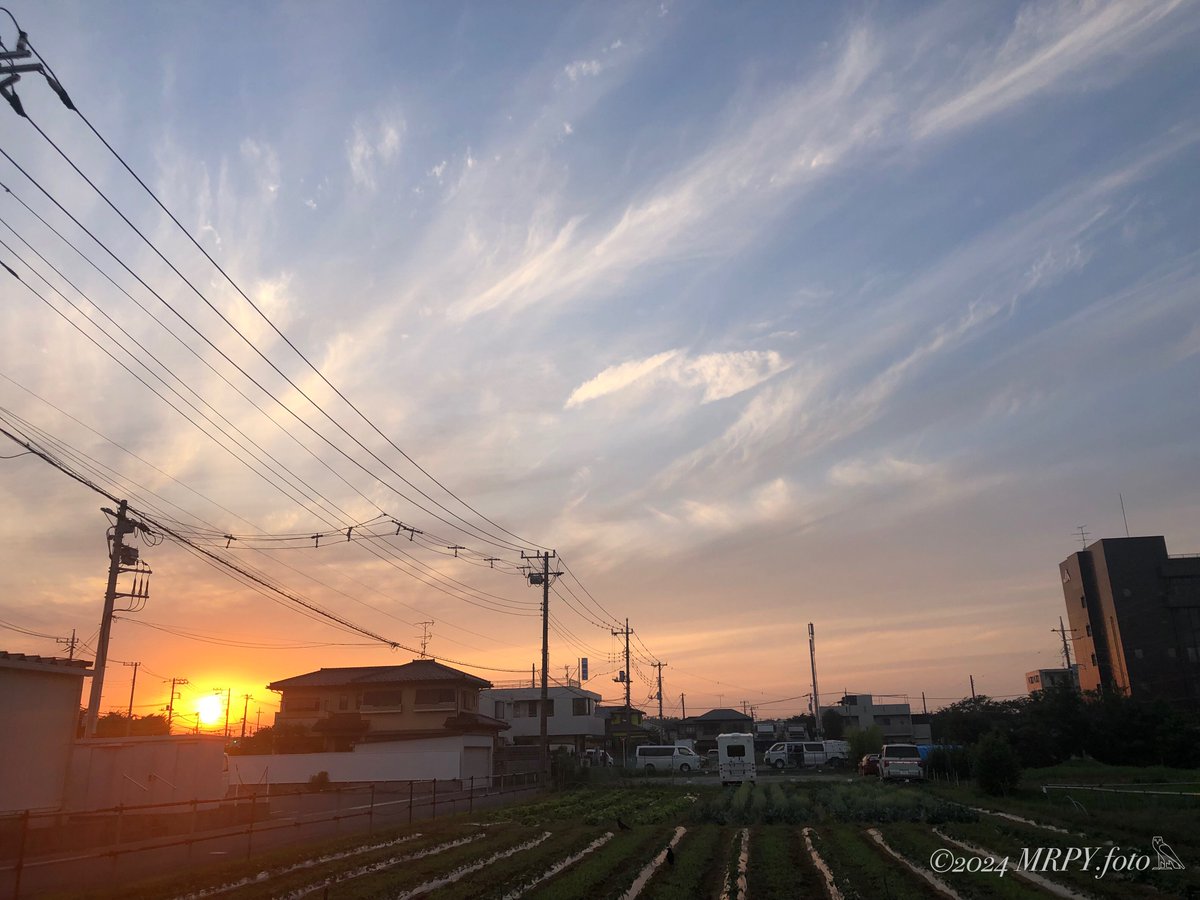 elysianeunoia17's tweet photo. .
今日の夕焼け時間に間に合った
.. 薔薇園からのミスイエロー(Marie Claire) と一緒𓂃܀𑁍
今週もお疲れ様でした🙇🏻♀️
т𝐡𝐀ηķ yᵒ𝐔!
.
#イマソラ #夕焼け #無加工
#玉ボケ #私とニコンで見た世界
#epl9 #空のある風景 #華金
#帰り道 #キリトリセカイ
#TLを花でいっぱにしよう
#FriYay #TGIF
. https://t.co/k6zrUyhCv9