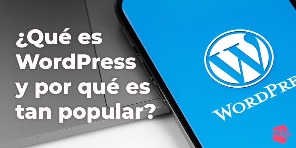 ¿Qué es WordPress y por qué es tan popular? dlvr.it/T7Kkh3