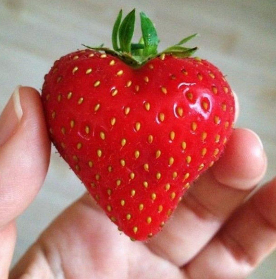 We love you too strawberries! 🥰❤️