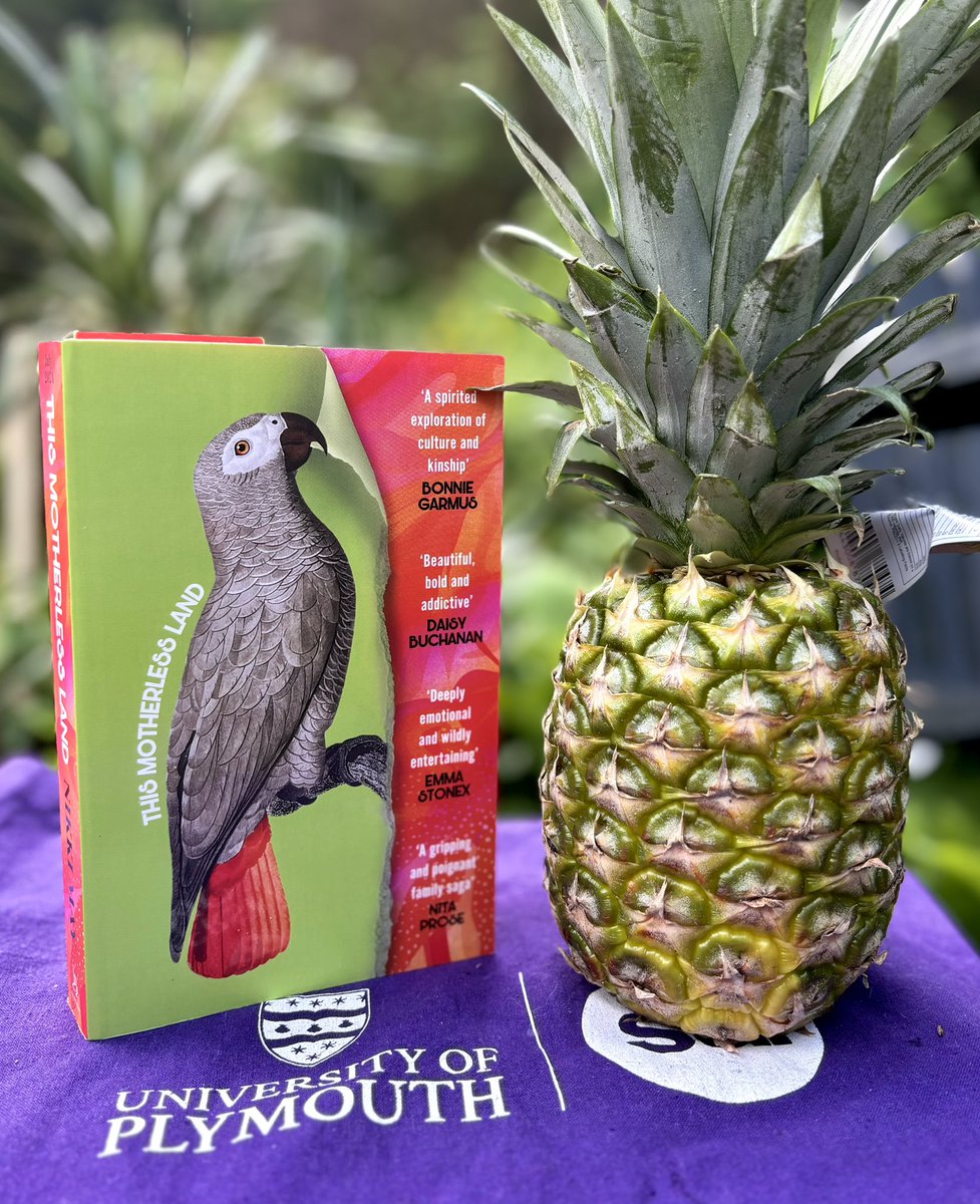 A fabulous Friday with sunshine, #ThisMotherlessLand by @NikkiOMay and a Free Fruity Reward from @LidlGB (picked a pineapple 🍍) #booklover #fruit #bookblogger #booktwitter #booktwt #bookaddict #bookboost #booktok #booksworthreading #bookstagram