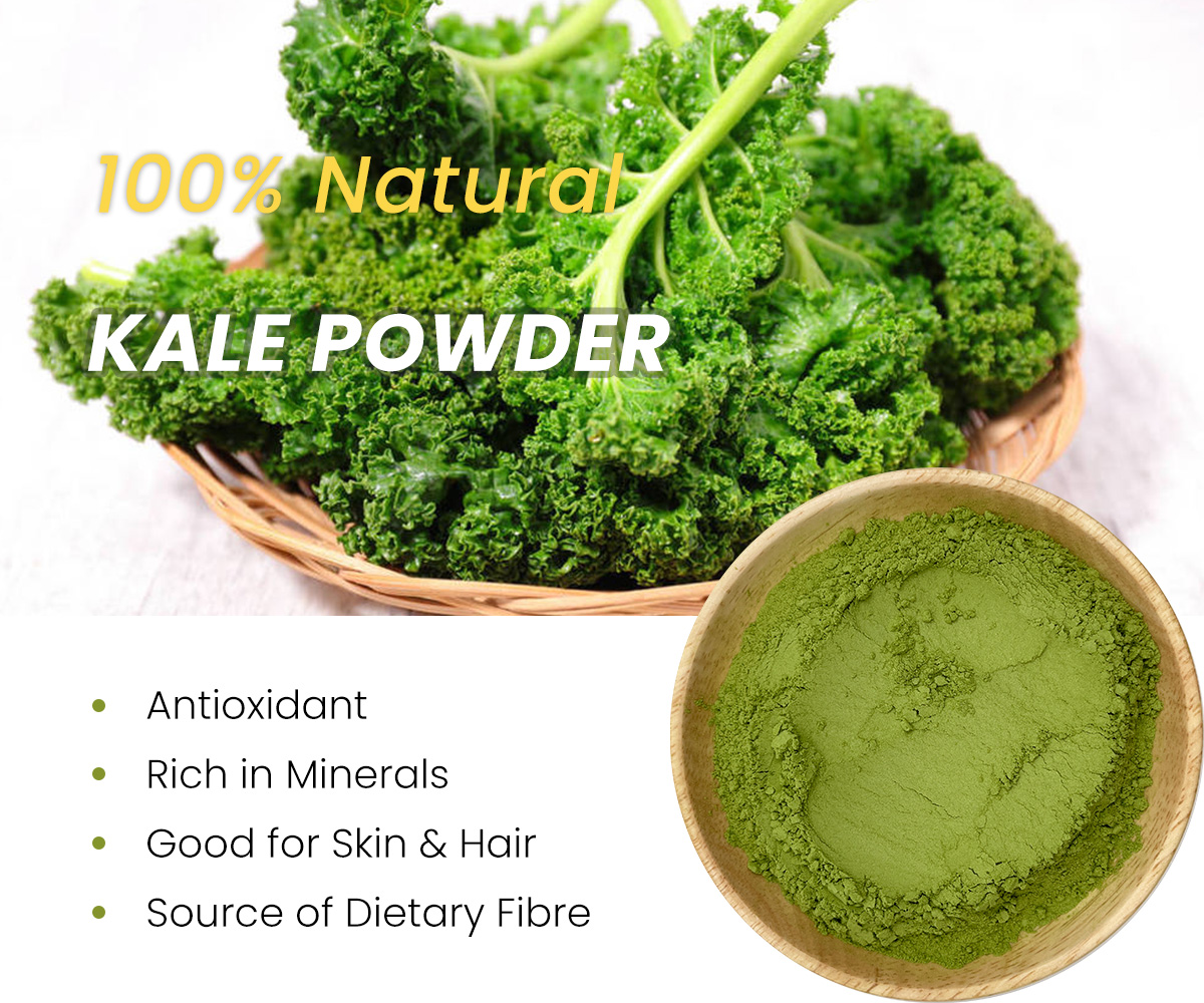 JhdCorp's tweet image. Have you tried kale powder? 🌿
Made from natural kale, it's a convenient and easy way to add more goodness to your diet.
#KalePowder #Health
Specification: 80-100 Mesh
Certificate: Kosher/Halal/ISO/Organic/cGMP etc certificates
ingredientssupply.com/kale-extract-3…