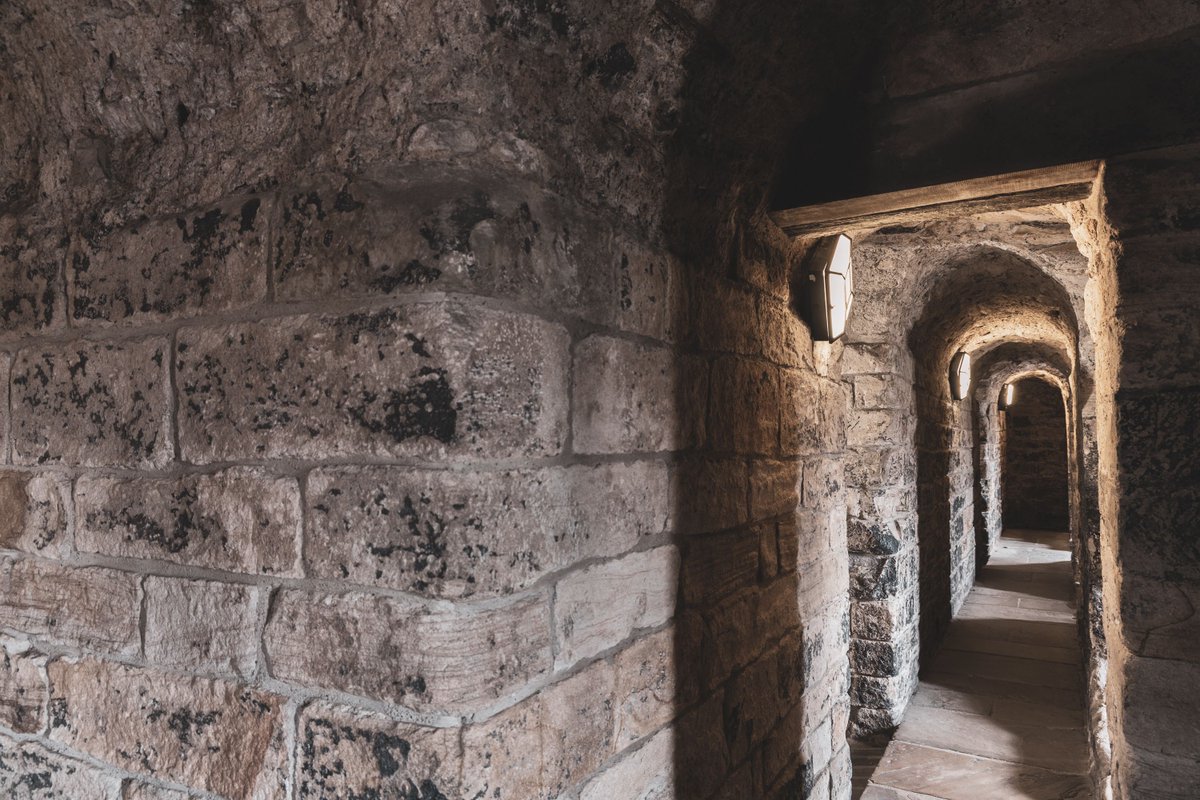 Looking for something fun to do this weekend? Come along to our Free Guided Tours of Newcastle Castle! No need to book beforehand, just come to the black gate with your annual pass. Saturday & Sunday at: 11am - 12pm - 1.30pm - 2.30pm #Tours #Newcastle #Castles