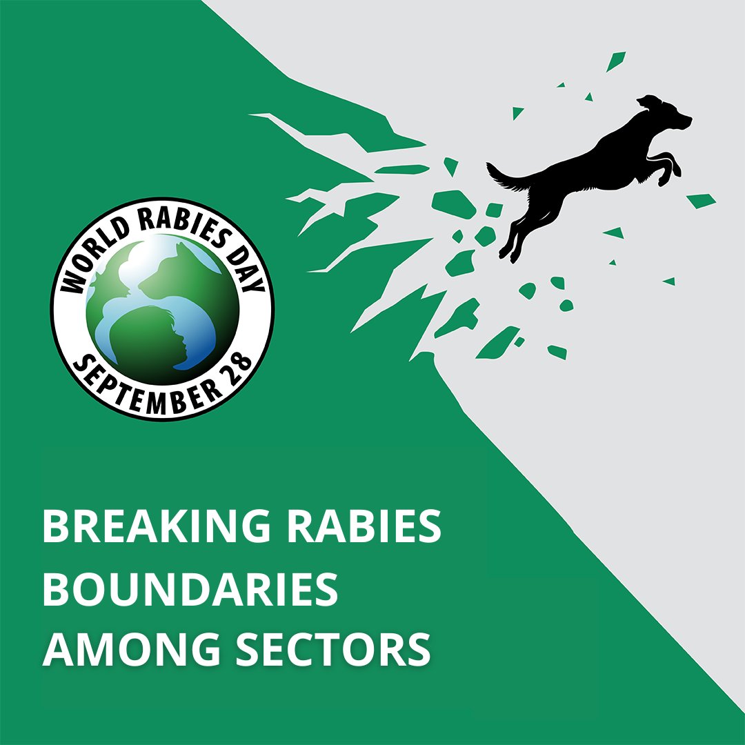 #BreakingRabiesBoundaries means embracing a #OneHealth approach for #rabies elimination. It's about engaging all stakeholders to safeguard the health of people, animals, and the planet. Together, let's build a rabies-free world. 🌍🐾 #WorldRabiesDay #WRD2024 #EndRabiesNow