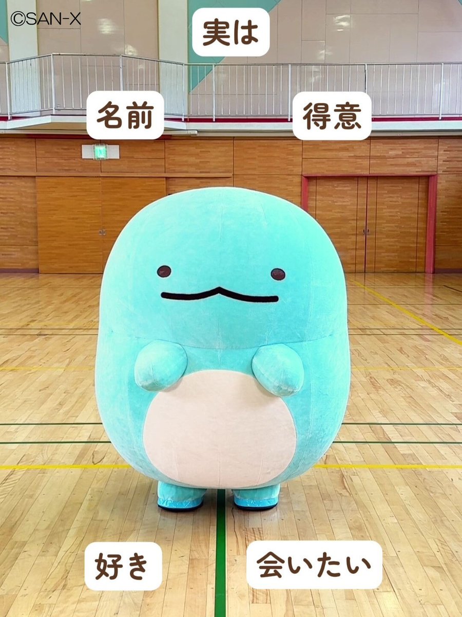 サンエックス公式TikTok更新🍀／ とかげの動画が公開されました