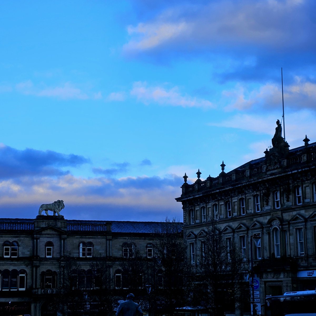 Mark Johnson 🐶🐱🐓🐥 tweet media