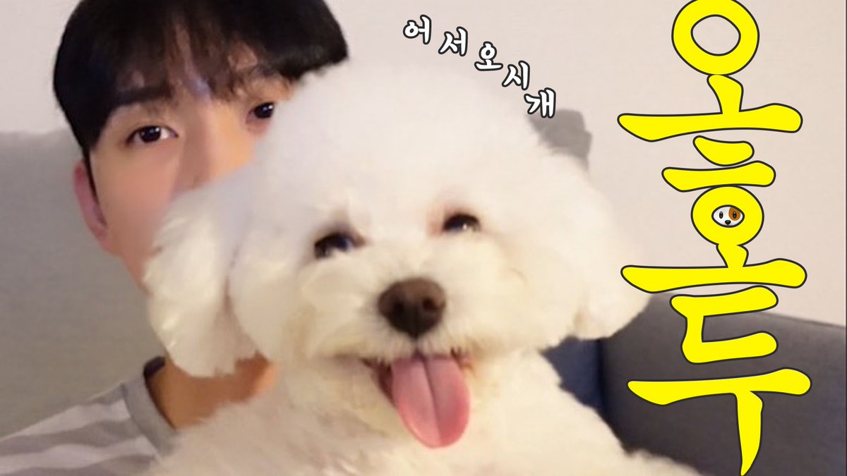 ixxxhme's tweet photo. 감사합니다◠‿◠ 

https://t.co/77FBUbIkKf https://t.co/VsfQaHUAXp