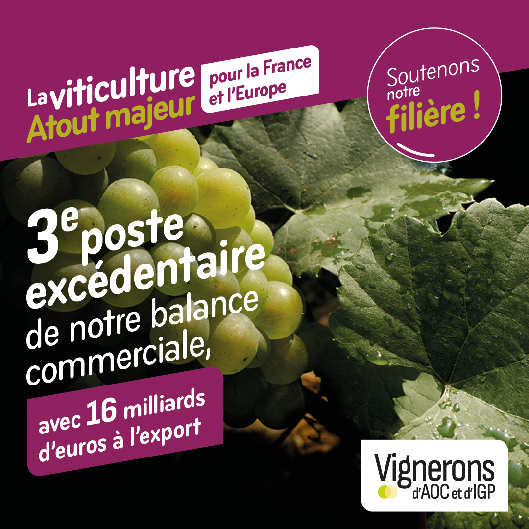 Les vins #AOC et #IGP représentent 80% de la production de vin en Europe. Dans la perspective des prochaines élections du 9 juin, ils ont besoin de votre soutien pour renforcer le cadre juridique et politique dans lequel nos indications géographiques peuvent s’épanouir.
