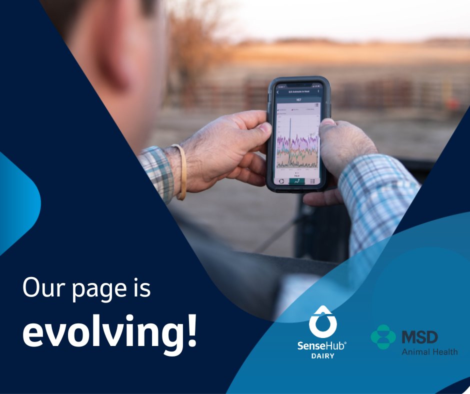 We’re excited to announce that our page will now be known as #SenseHubGB.
You might notice a different look as we focus on making sense of technology in the livestock sector with you but stick around for more updates and join us on this exciting journey! #FarmWithMoreFreedom