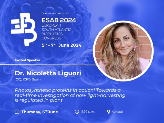 European South Atlantic Biophysics Congress 2024 (@esab2024) on Twitter photo #ESAB2024
Invited Speaker from <a href="/ICFOnians/">ICFO</a>
👩🏫Dr. Nicoletta Liguori <a href="/nikinikki87/">Nicoletta Liguori</a>
🗓️Thursday, 6th, June
🕐5.30 p.m.
📍 <a href="/KursaalDonostia/">Kursaal</a>
Organizers
<a href="/SBEsp/">Soc Biofísica España</a> <a href="/BiophysicsPT/">Portuguese Biophysics Society</a> <a href="/SFBiophys/">SFB</a> <a href="/CICbiomaGUNE/">CIC biomaGUNE</a>
#biophysics #biofisica #congress #europe #science #ciencia #research #donostia #gipuzkoa #ESAB2024
Invited Speaker from <a href="/ICFOnians/">ICFO</a>
👩🏫Dr. Nicoletta Liguori <a href="/nikinikki87/">Nicoletta Liguori</a>
🗓️Thursday, 6th, June
🕐5.30 p.m.
📍 <a href="/KursaalDonostia/">Kursaal</a>
Organizers
<a href="/SBEsp/">Soc Biofísica España</a> <a href="/BiophysicsPT/">Portuguese Biophysics Society</a> <a href="/SFBiophys/">SFB</a> <a href="/CICbiomaGUNE/">CIC biomaGUNE</a>
#biophysics #biofisica #congress #europe #science #ciencia #research #donostia #gipuzkoa