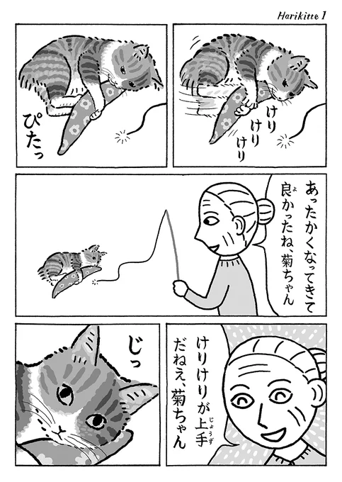 2ページ猫漫画「けりけり陽気」 