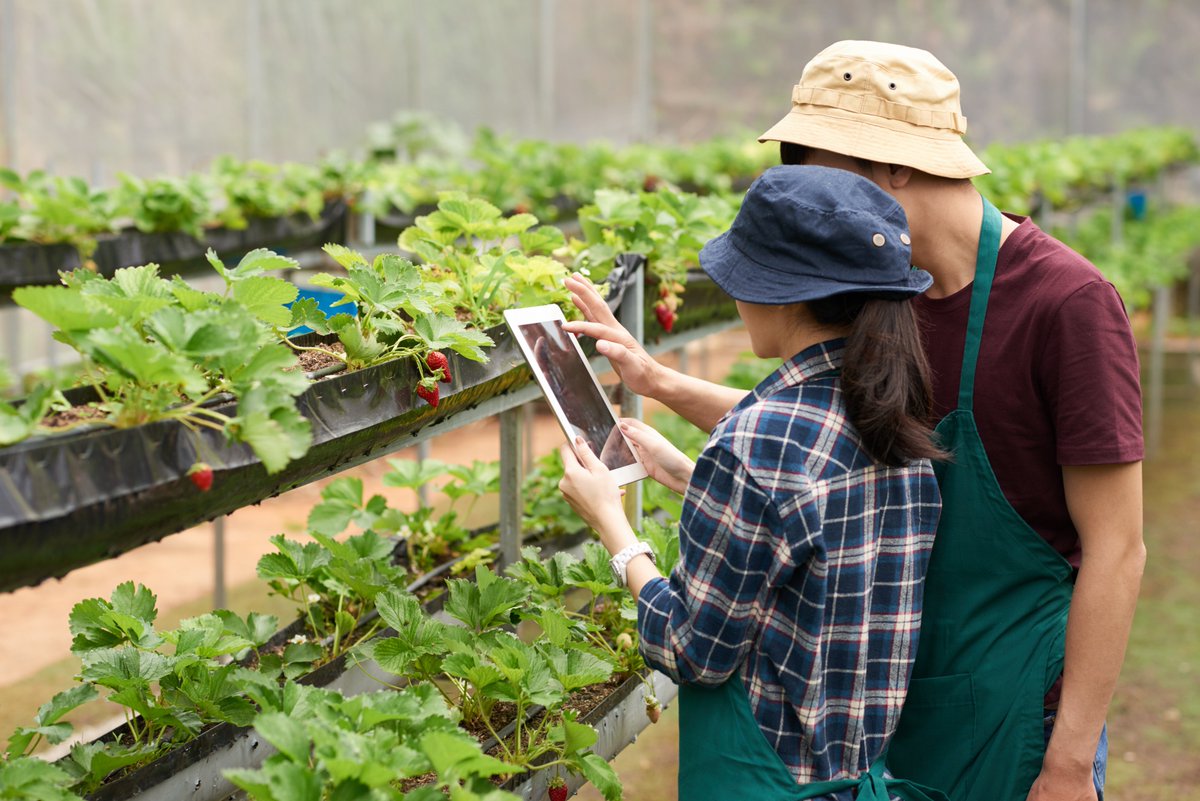 Andalucía se convierte en un laboratorio vivo para generar soluciones a retos del sector agroalimentario. Con esta iniciativa, enmarcada en el ámbito del proyecto @DIHAndAgrotech, ponen en marcha los #Living #Labs : @Cajamar , @CICAP_CT , @ualmeria , @UniHuelva y @Univcordoba.