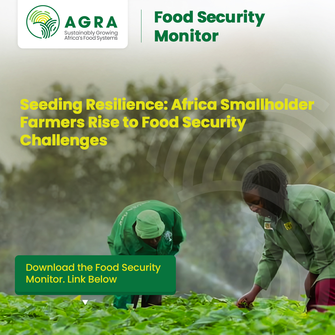AGRA_Africa's tweet photo. Food System | #FoodSecurityMonitor
The April 2024 Food Security Monitor is out! Stay informed on the latest updates in food security across Africa and globally. From improving food supplies in Southern Africa to strategic trade measures in West Africa, get the full picture.
Download now to read more and stay ahead: https://t.co/ZEZOrpObjH
#FoodSecurity #Agriculture #GlobalTrends #SustainableDevelopment