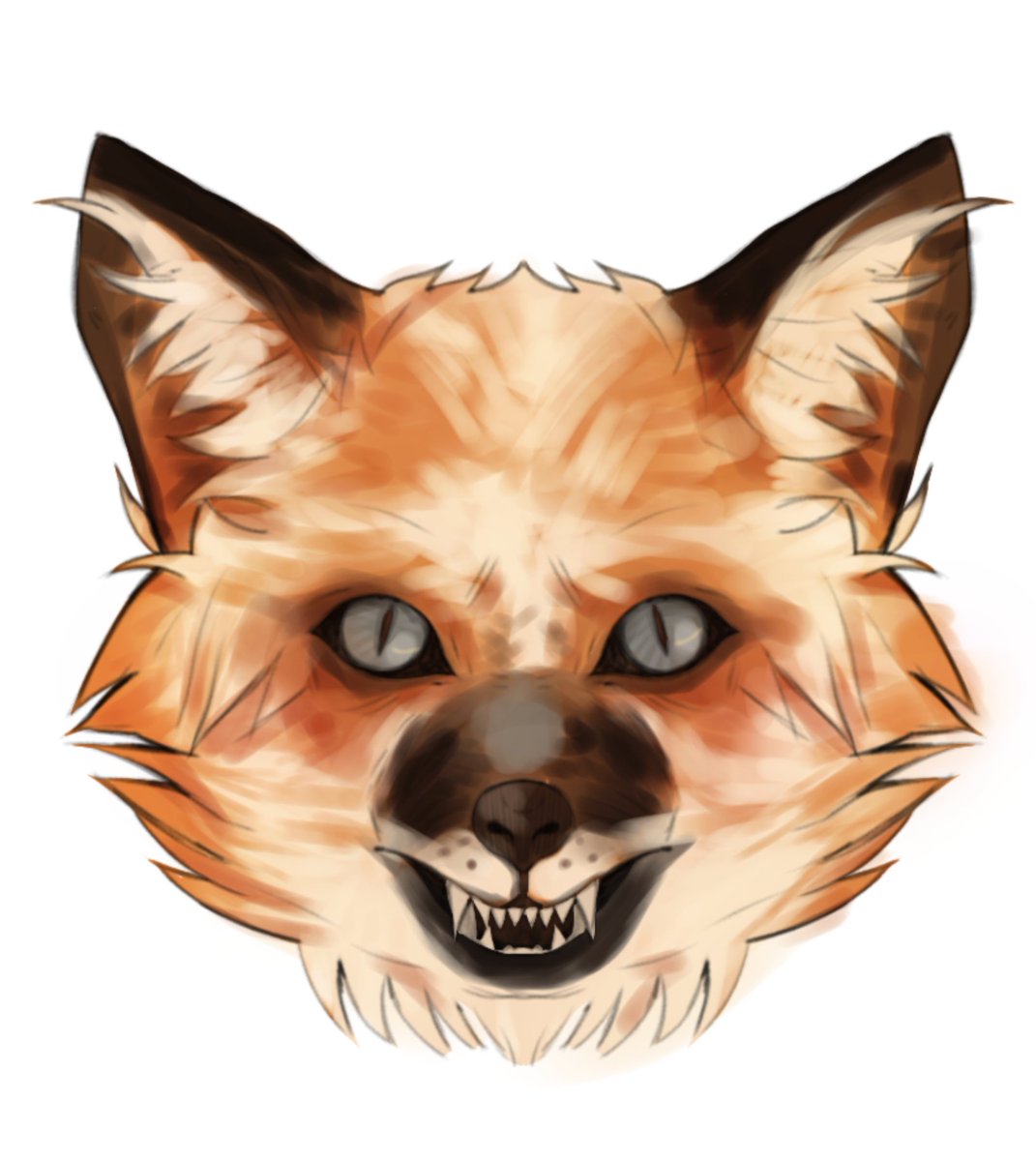 BlueKrevi's tweet photo. Flying heads of different furies. Something drew me to foxes (and a hamster to betray) #FURRY #fox #foxhead #art #artfurry #iconfox #furryicon https://t.co/G0wXNGHihO