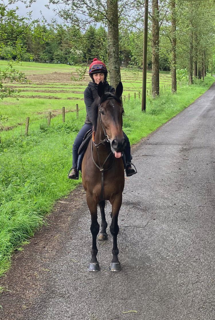 Tongues out if you’ve just got to explore your new home! Delighted to have added Sir Gauzy to the team after the sales this week 🏇