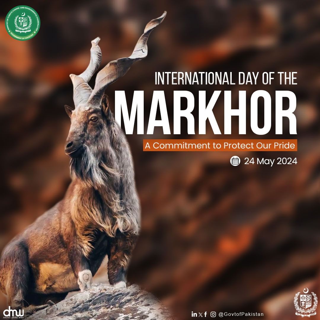 On the International Day of #Markhor, the Government of Pakistan reaffirms its dedication to preserving our national animal, symbolizing our rich #wildlife heritage. magnificent landscapes of #Pakistan