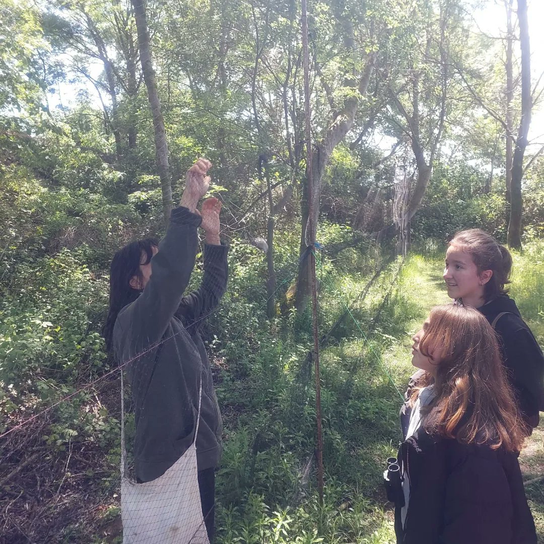 Kızılırmak Deltası Kuş Cenneti Tabiat Parkı gezisinden... <a href="/bafra_mem/">Bafra İlçe Millî Eğitim Müdürlüğü</a> <a href="/mehmetalikatip1/">Mehmet Ali KATİPOĞLU 🇹🇷</a> <a href="/samsunmem/">Samsun İl Milli Eğitim Müdürlüğü</a>